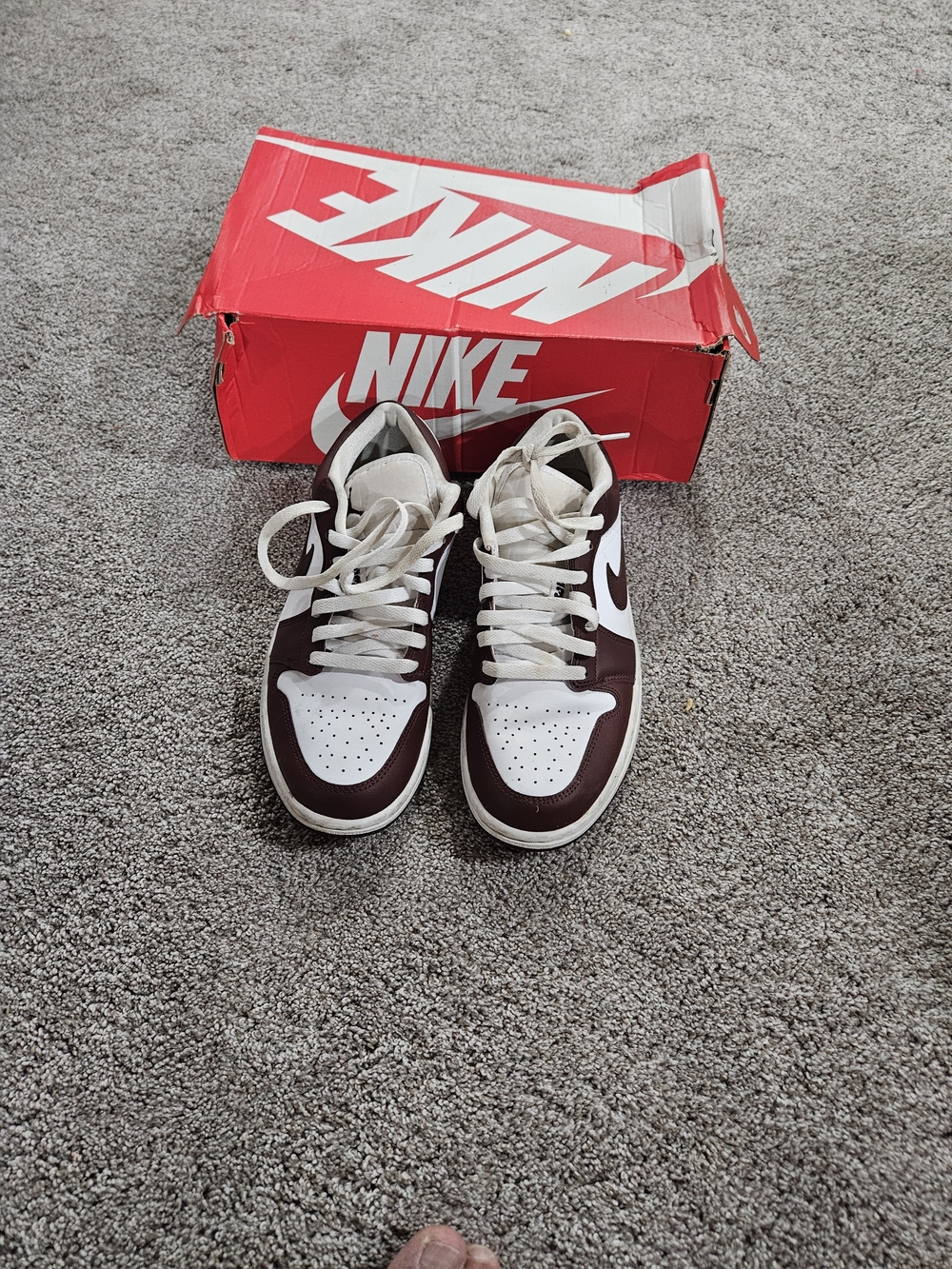 Nike Dunk Low in White and Dark Brown